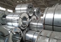 PPGL Prepainted Prime Hot Dipped Galvanized Steel Coil Manufacturers 0.33mmx1200mm